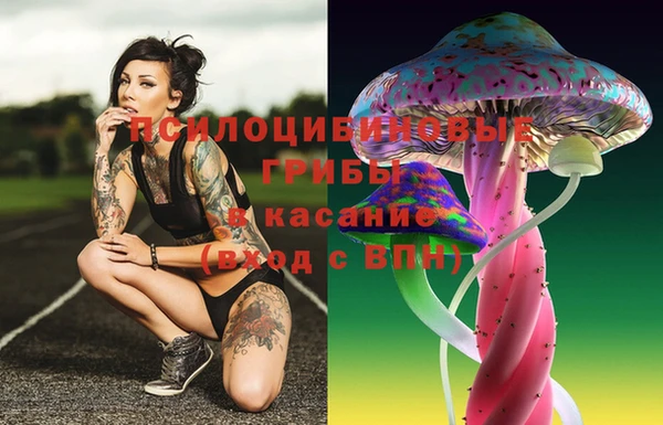 прущие грибы Нягань