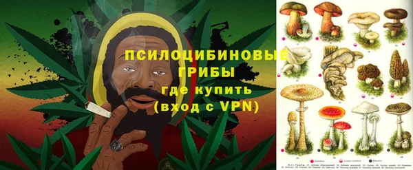 крисы Губаха