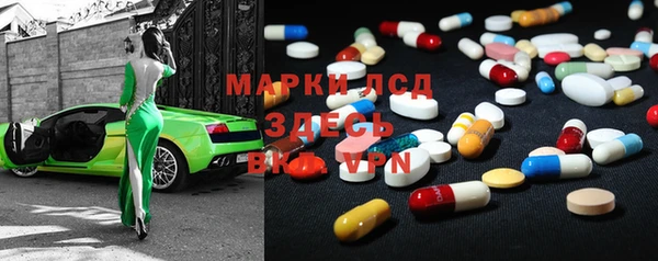 прущие грибы Нягань